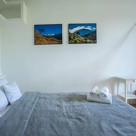 Oomph True Tree House Moko *