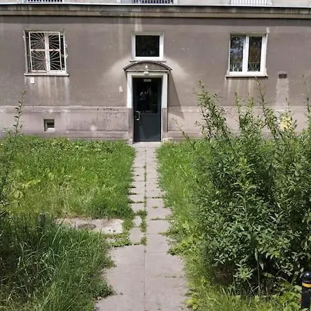 Oomph True Tree House Moko