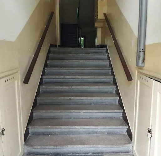 Oomph True Tree House Moko * Warszawa