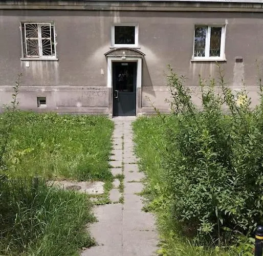 Oomph True Tree House Moko